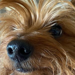 Meet your Posher, Mia